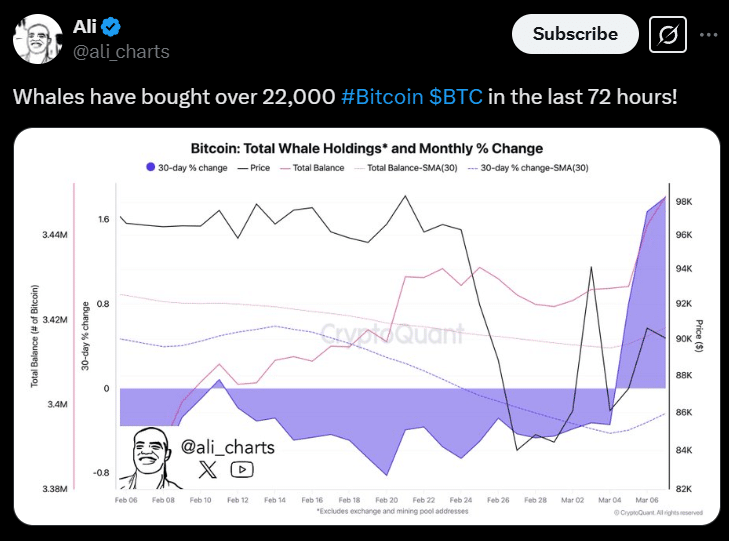 Bitcoin's latest whale trends and what they mean for traders like you